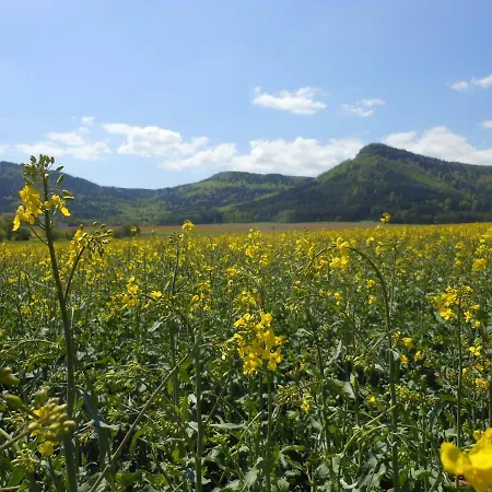 Blije 别墅 Božanov